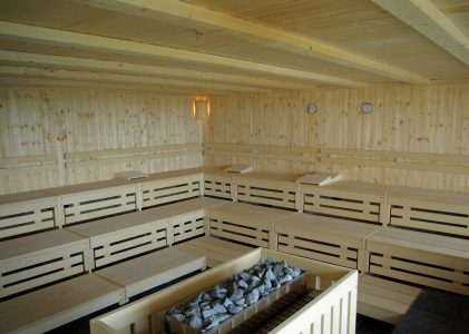 Die besten Holzarten für Gartensaunen